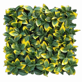 ILEX VG, dielec 50 x 50 cm