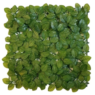 FITTONIA ECONOMY, dielec 50 x 50 cm