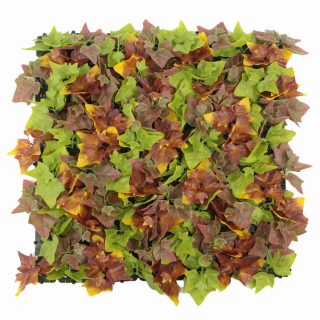 Hedera autumn, dielec 50 x 50 cm