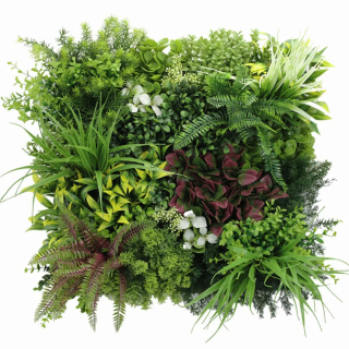 MINI WALL GREEN rich mix of plants 2, dielec 50 x 50 cm