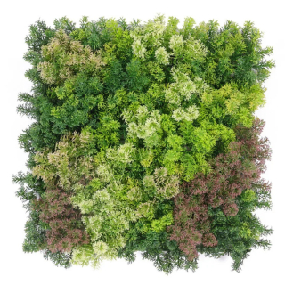Moss coral mix, dielec 50 x 50 cm