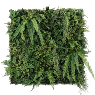 WALL GREEN Boston fern botanica, dielec 100 x 100 cm